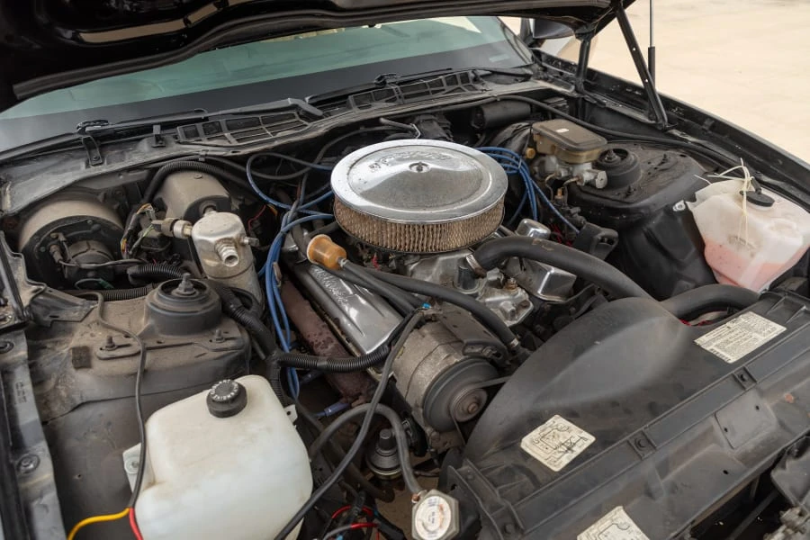 1983 Pontiac Firebird 3rd Gen - Image 28 of 29