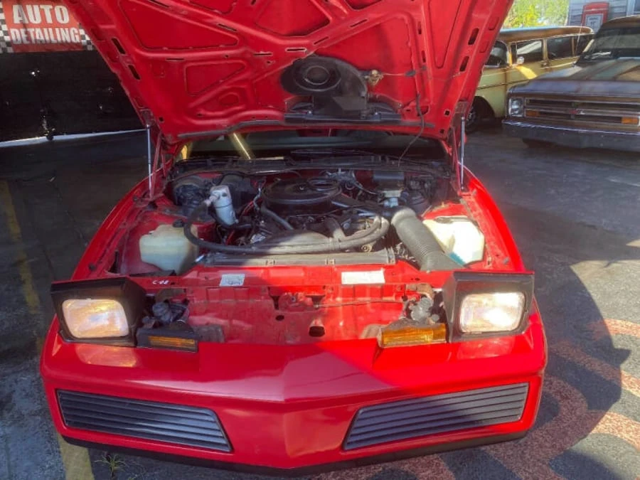 1983 Pontiac Firebird 3rd Gen - Image 12 of 12