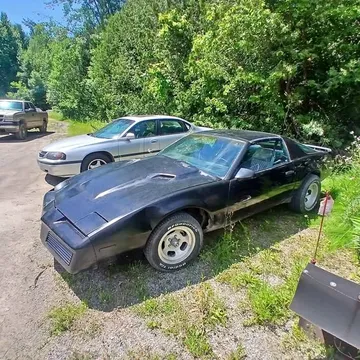 1983 Pontiac Firebird GTA Hatchback 2D