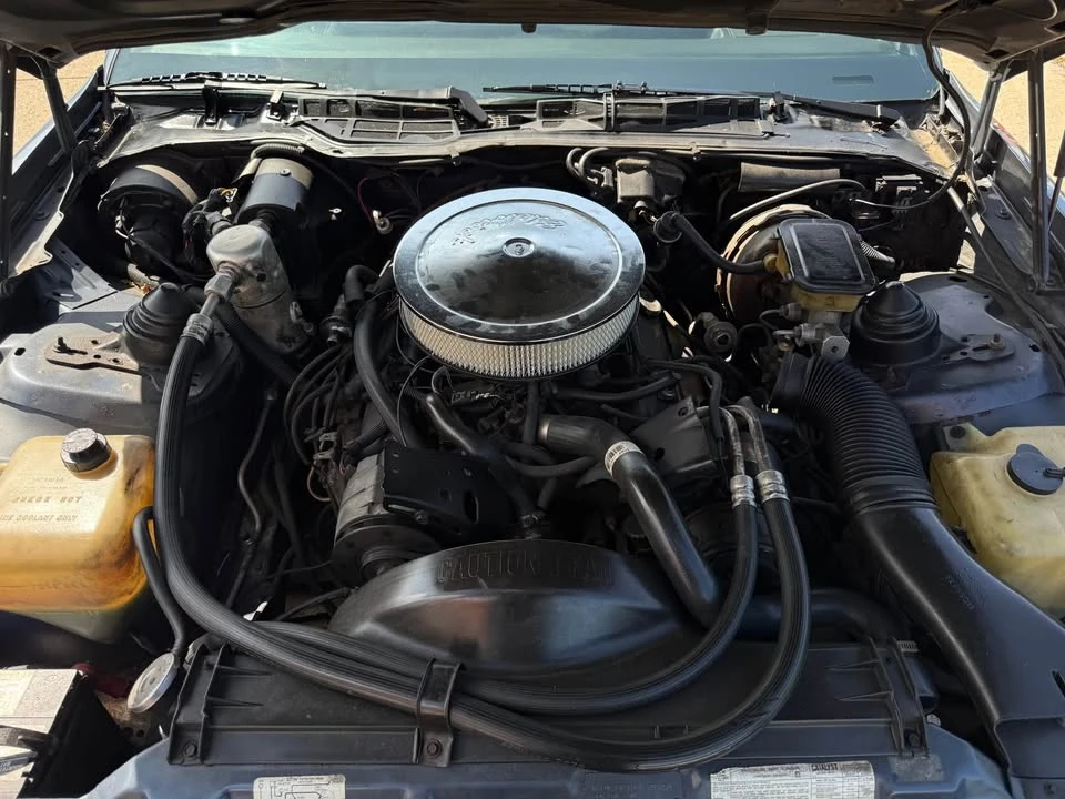 1983 Pontiac Firebird 3rd Gen - Image 13 of 13