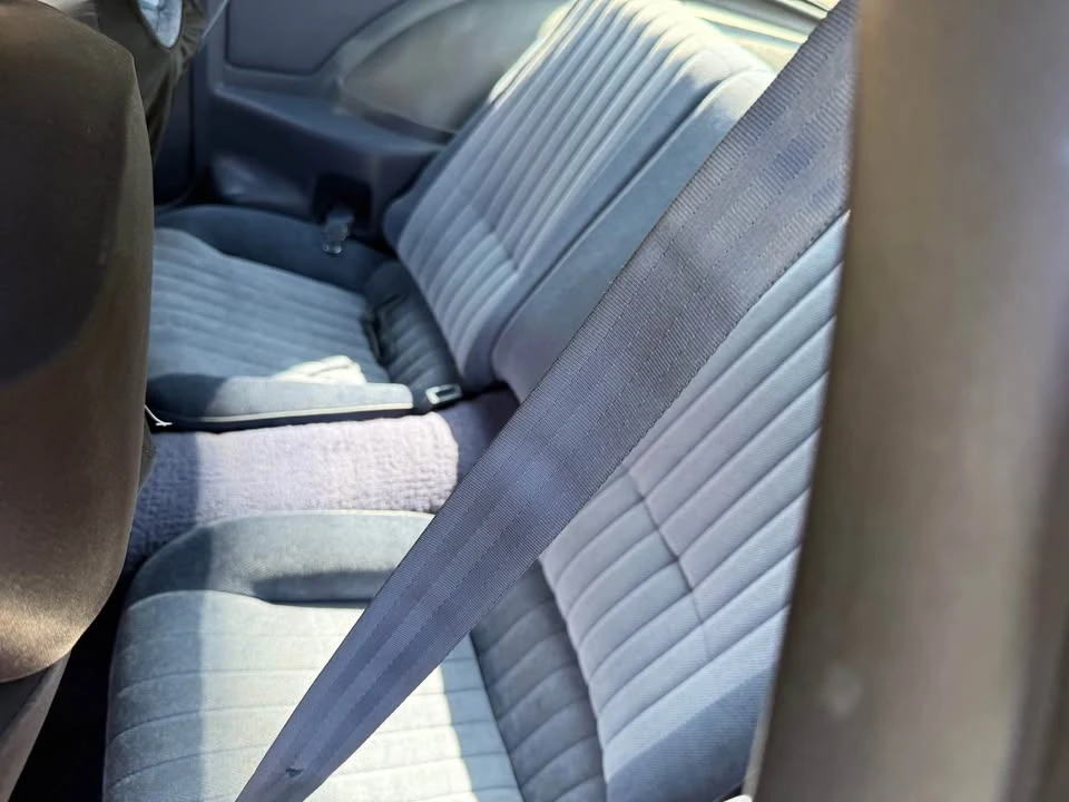 1983 Pontiac Firebird 3rd Gen - Image 11 of 13