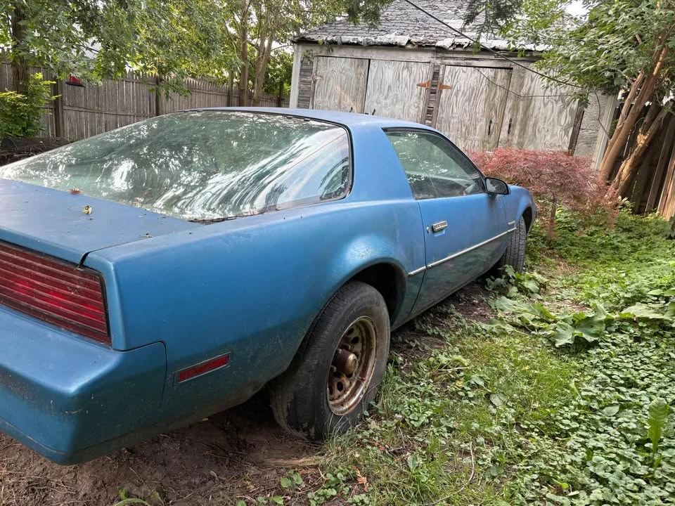 1983 Pontiac Firebird 3rd Gen - Image 3 of 16