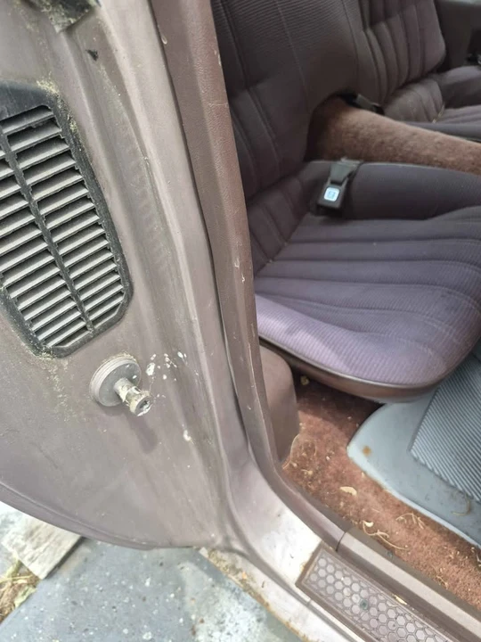 1983 Pontiac Firebird 3rd Gen - Image 5 of 8