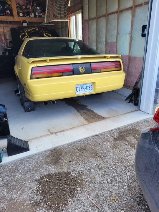 1983 Pontiac Firebird 3rd Gen - Image 3 of 15