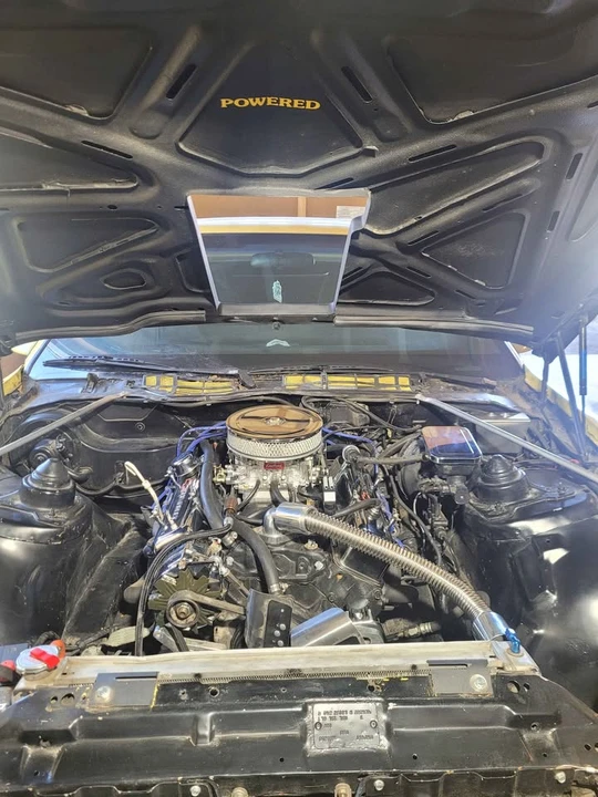 1983 Pontiac Firebird 3rd Gen - Image 6 of 15