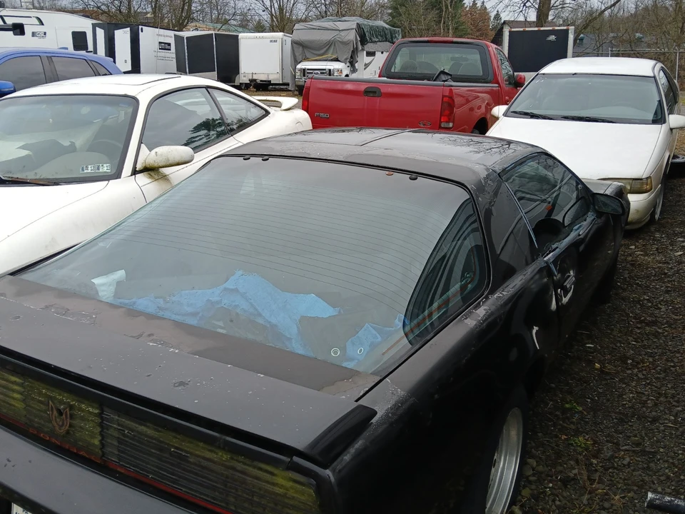 1983 Pontiac Firebird Trans Am 3rd Gen - Image 2 of 11