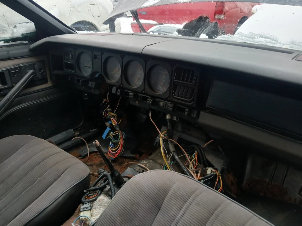 1983 Pontiac Firebird Trans Am 3rd Gen - Image 10 of 11