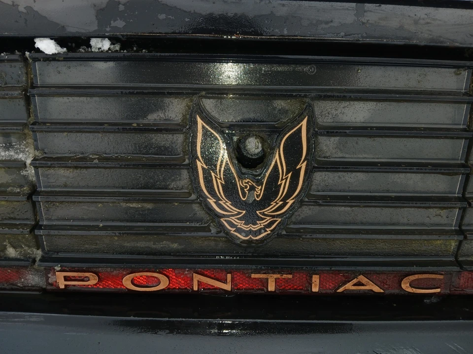 1983 Pontiac Firebird Trans Am 3rd Gen - Image 8 of 11