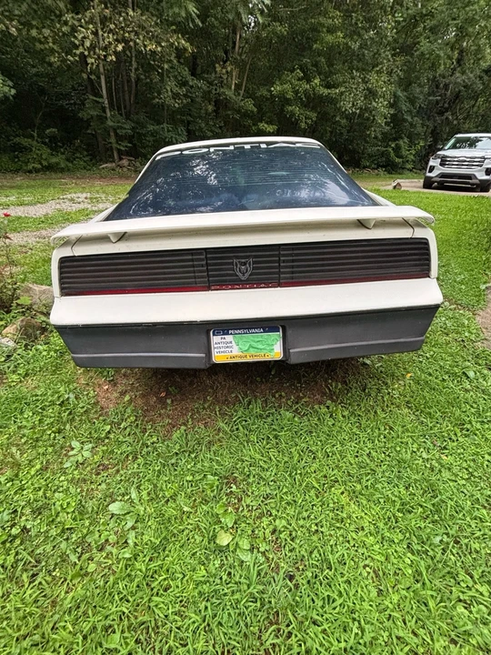 1983 Pontiac Firebird Trans Am 3rd Gen - Image 4 of 31