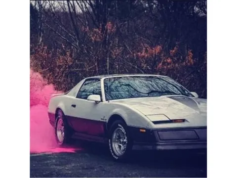 1983 Pontiac Firebird Trans Am 25th Anniversary Daytona 500 Edition