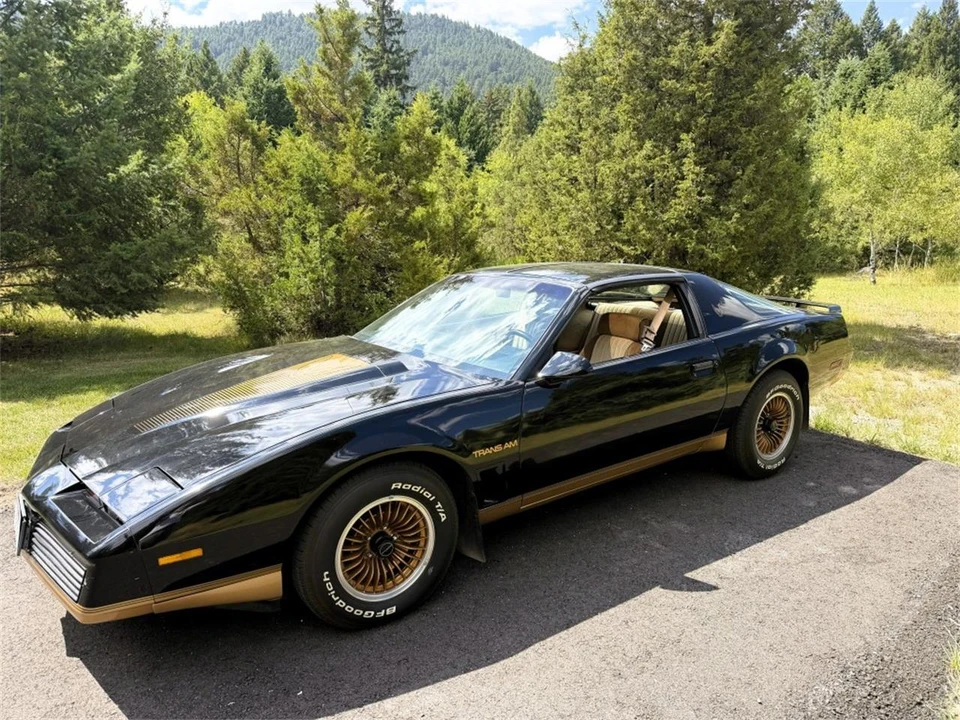 1983 Pontiac Firebird Trans Am 3rd Gen - Image 4 of 12