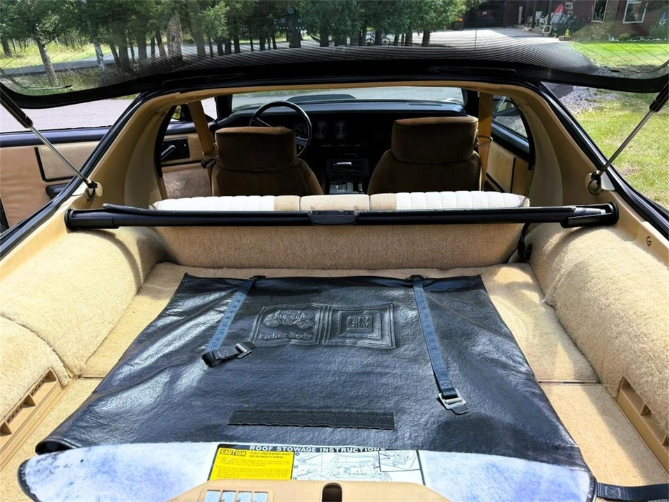 1983 Pontiac Firebird Trans Am 3rd Gen - Image 11 of 12