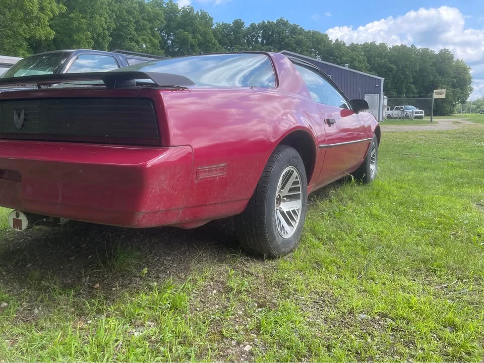 1983 Pontiac Firebird Trans Am 3rd Gen - Image 11 of 20