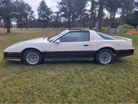 1983 Pontiac Firebird Trans Am 25th Anniversary Daytona 500 Edition