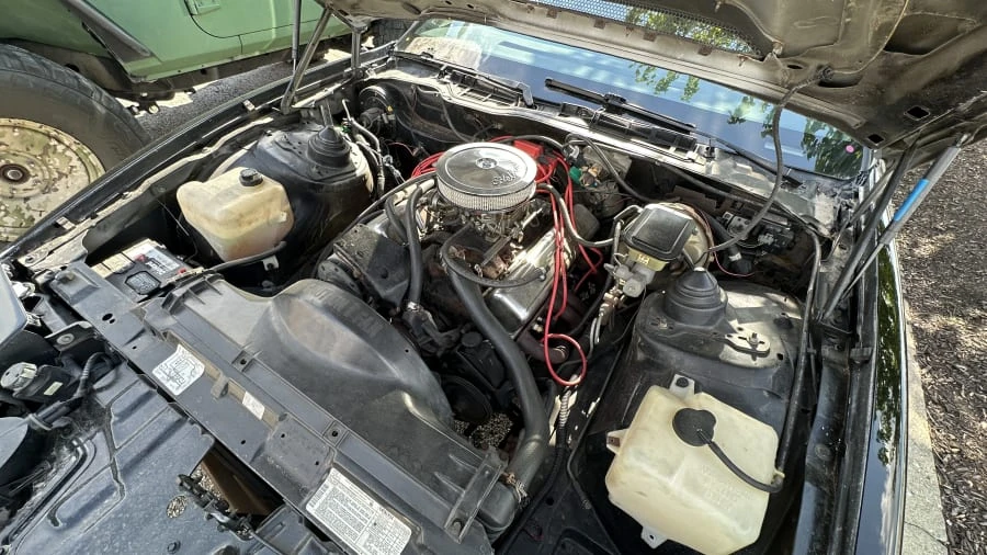 1983 Pontiac Firebird Trans Am 3rd Gen - Image 12 of 12