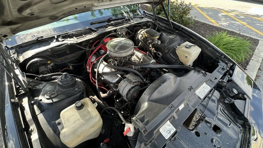 1983 Pontiac Firebird Trans Am 3rd Gen - Image 11 of 12