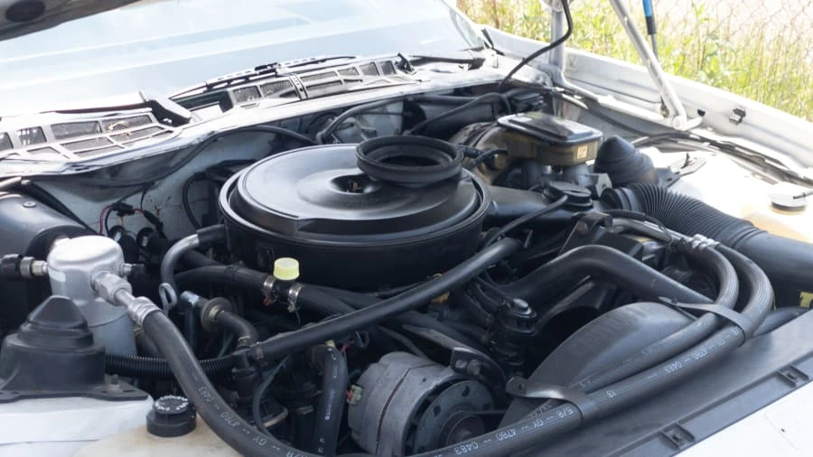 1983 Pontiac Firebird Trans Am 3rd Gen - Image 11 of 13