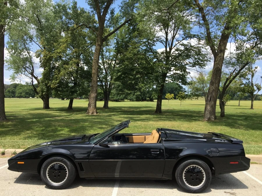 1983 Pontiac Firebird Trans Am 3rd Gen - Image 2 of 12
