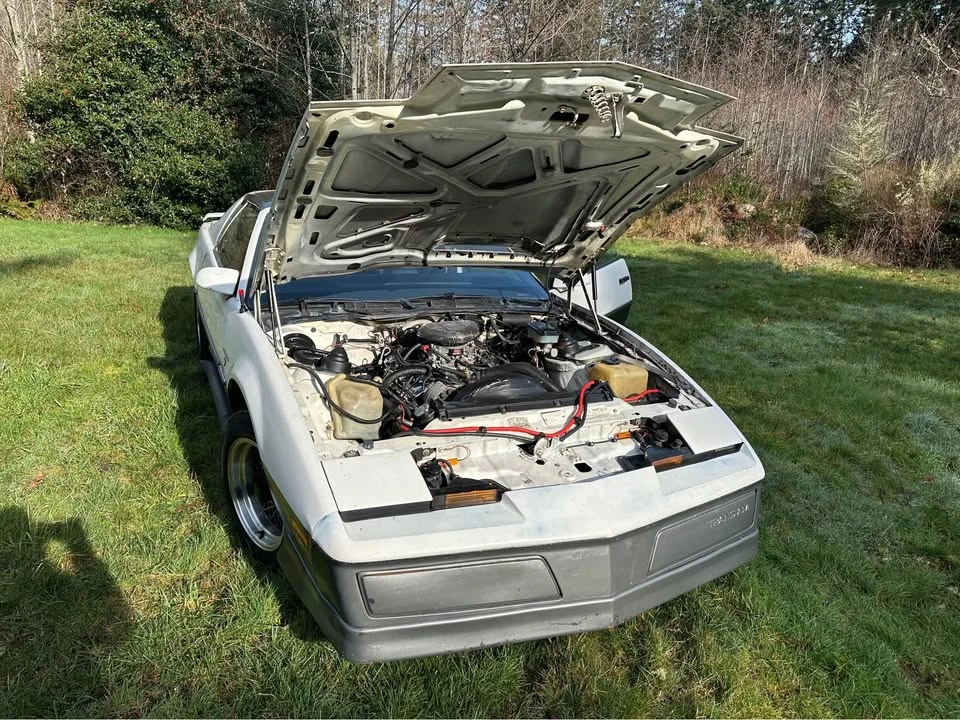 1983 Pontiac Firebird Trans Am 3rd Gen - Image 8 of 16
