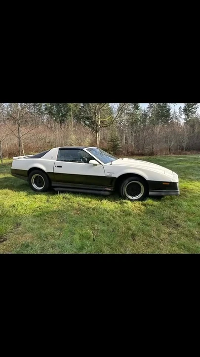 1983 Pontiac Firebird Trans Am 3rd Gen - Image 16 of 16