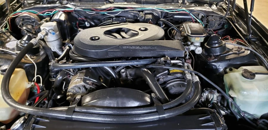 1983 Pontiac Firebird Trans Am 3rd Gen - Image 13 of 13