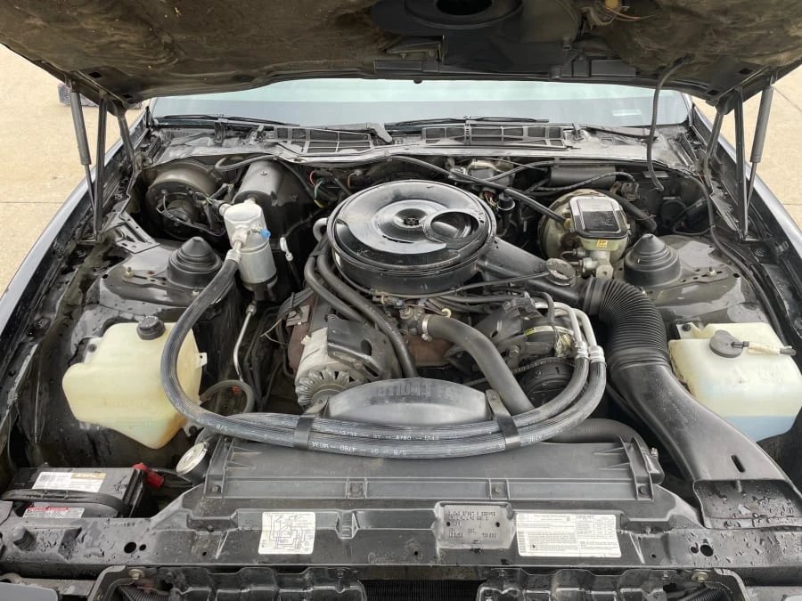 1983 Pontiac Firebird Trans Am 3rd Gen - Image 18 of 18