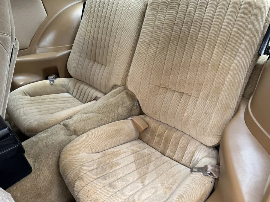 1983 Pontiac Firebird Trans Am 3rd Gen - Image 6 of 10