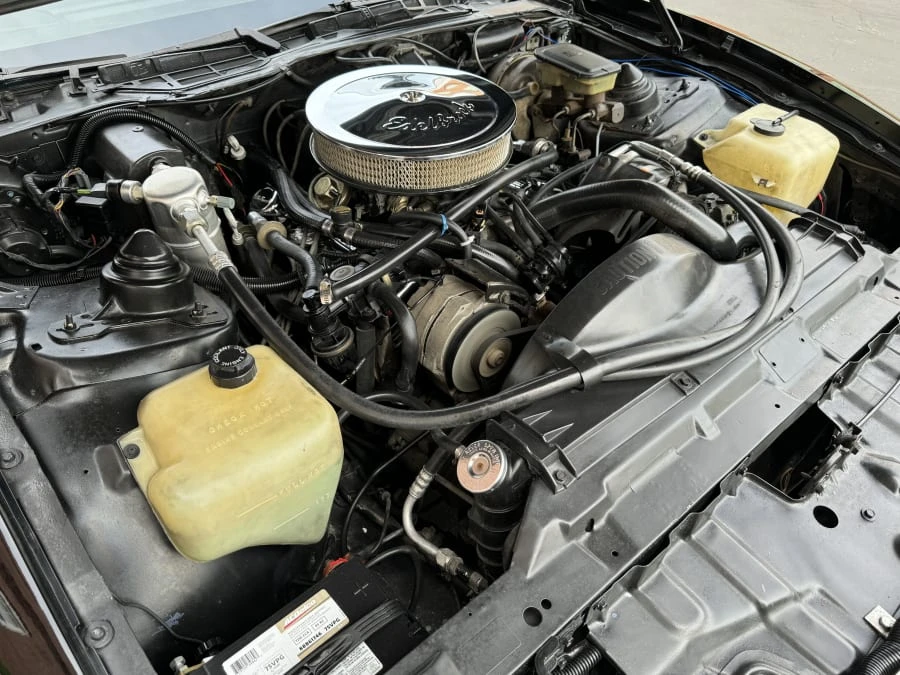 1983 Pontiac Firebird Trans Am 3rd Gen - Image 9 of 10