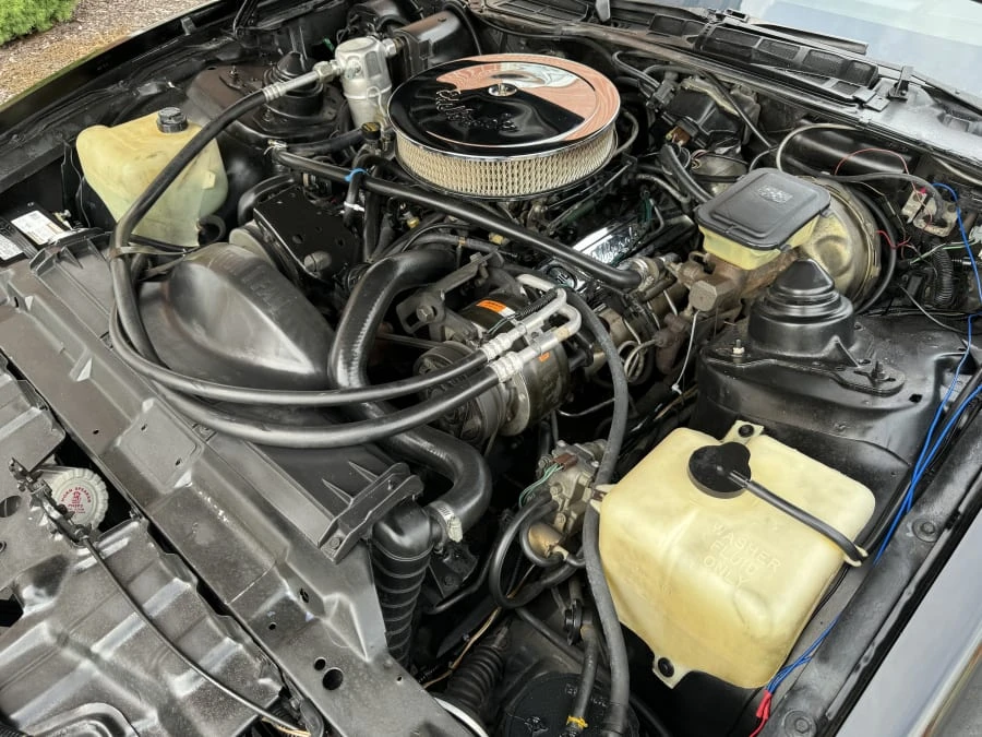 1983 Pontiac Firebird Trans Am 3rd Gen - Image 10 of 10