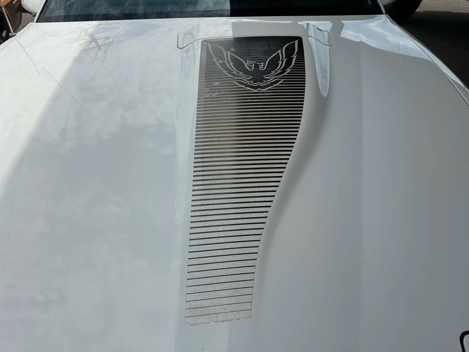 1983 Pontiac Firebird Trans Am 3rd Gen - Image 19 of 24
