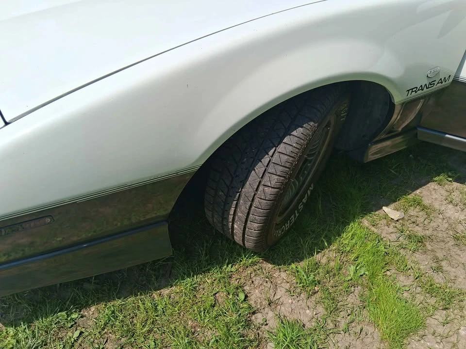 1983 Pontiac Firebird Trans Am 3rd Gen - Image 11 of 20