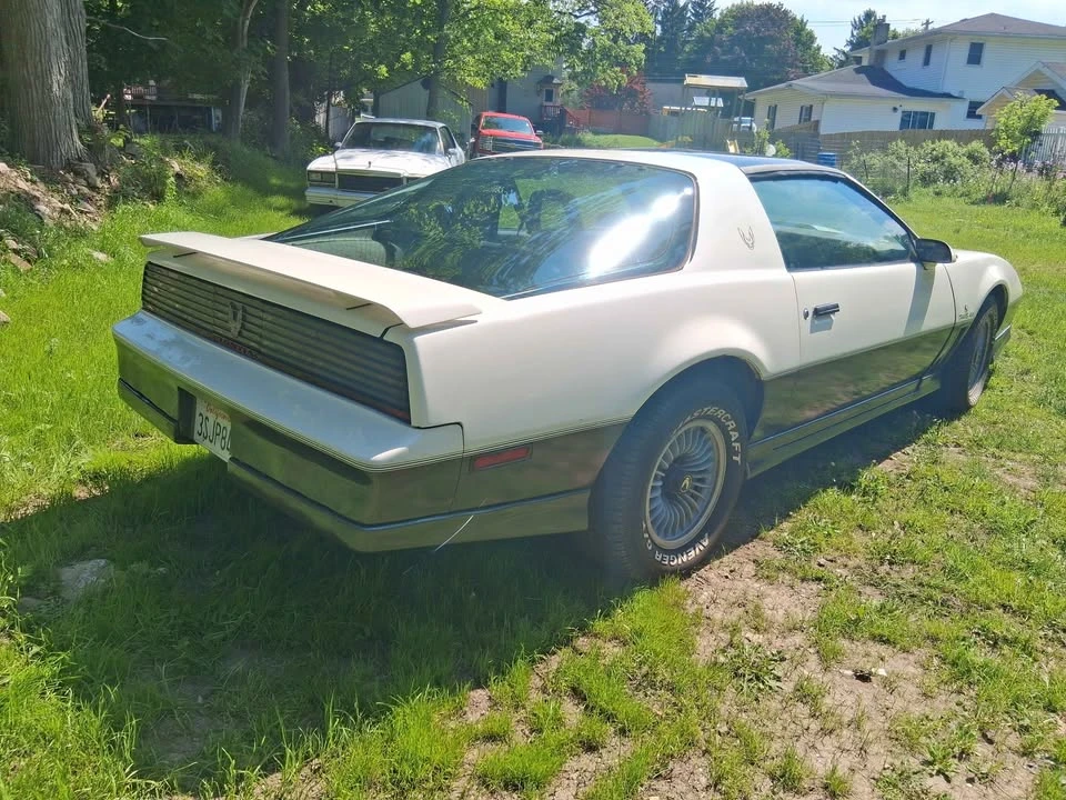 1983 Pontiac Firebird Trans Am 3rd Gen - Image 3 of 20