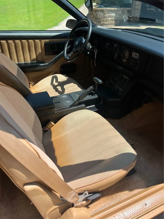 1983 Pontiac Firebird Trans Am 3rd Gen - Image 10 of 20