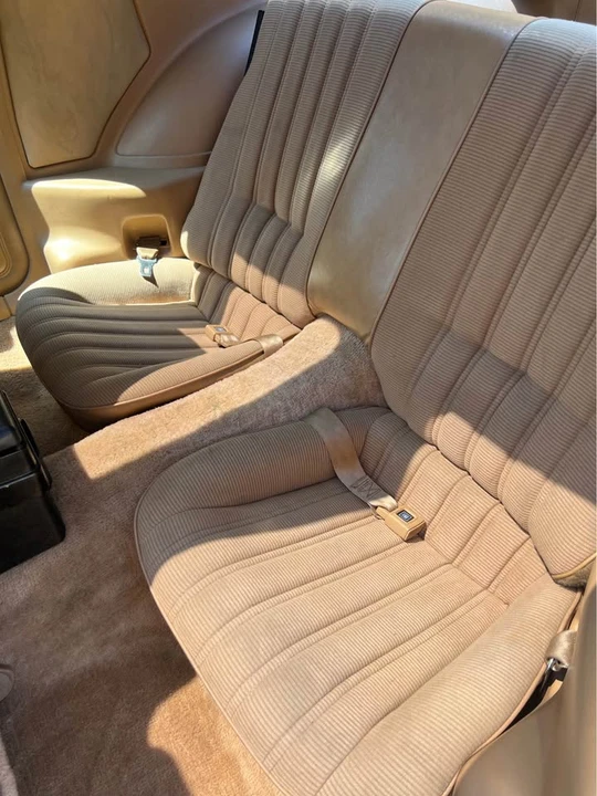 1983 Pontiac Firebird Trans Am 3rd Gen - Image 11 of 20