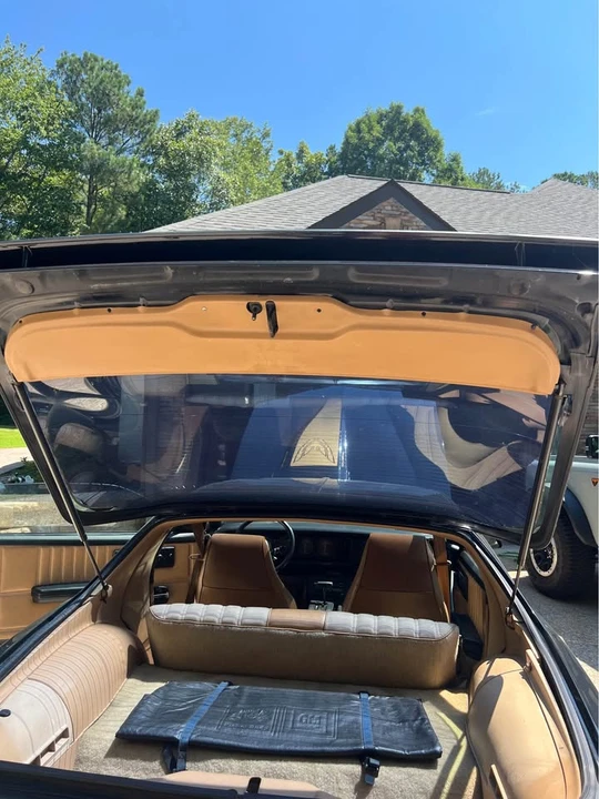 1983 Pontiac Firebird Trans Am 3rd Gen - Image 16 of 20