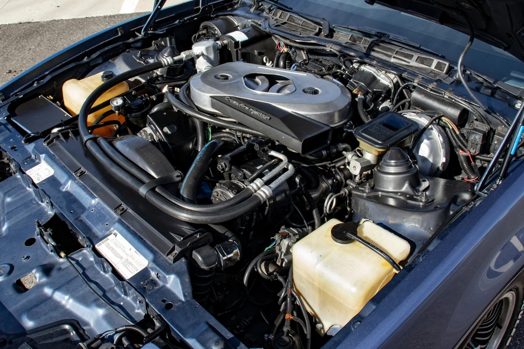 1983 Pontiac Firebird Trans Am 3rd Gen - Image 11 of 21