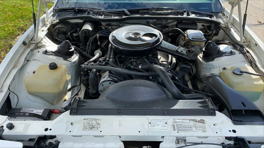 1983 Pontiac Firebird Trans Am 3rd Gen - Image 8 of 8