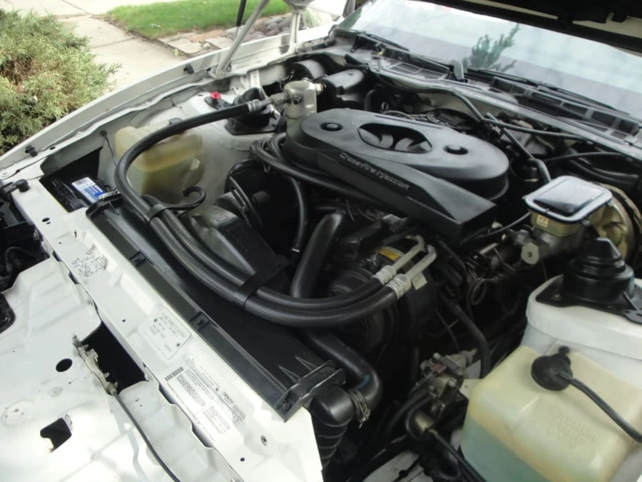 1983 Pontiac Firebird Trans Am 3rd Gen - Image 5 of 12