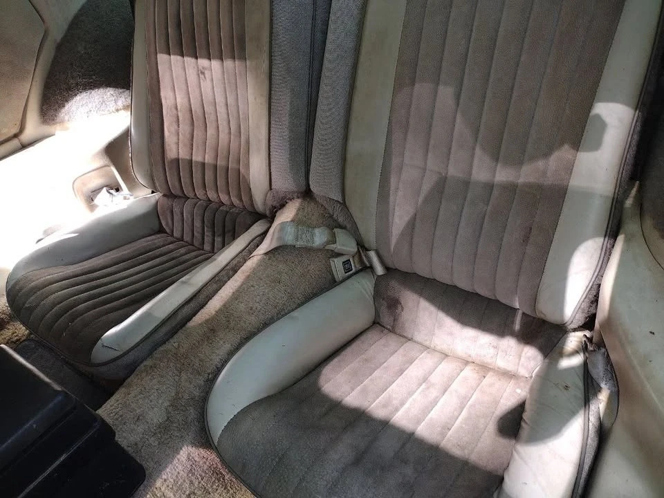 1983 Pontiac Firebird Trans Am 3rd Gen - Image 5 of 12