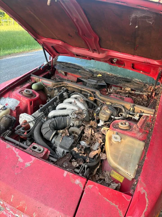 1983 Porsche 944 - Image 13 of 15