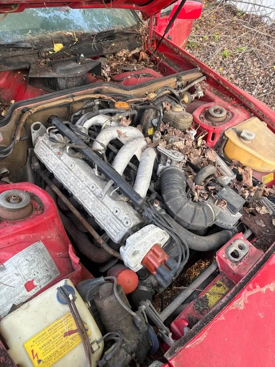 1983 Porsche 944 - Image 12 of 15
