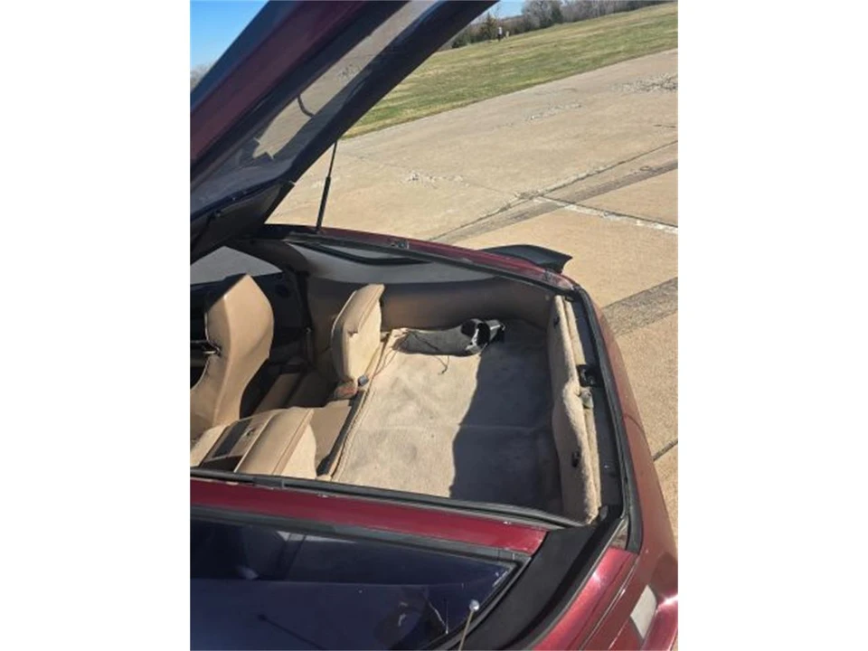 1983 Porsche 928 S - Image 16 of 20