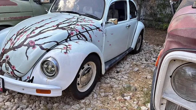 1983 Volkswagen Beetle 1.8T Hatchback 2D