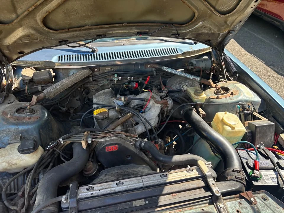 1983 Volvo 244 - Image 7 of 14