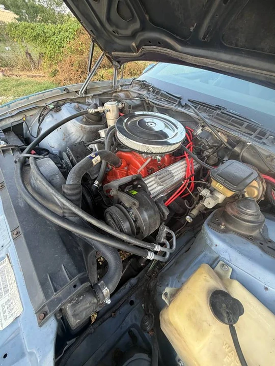 1983 Pontiac Firebird 3rd Gen - Image 10 of 14