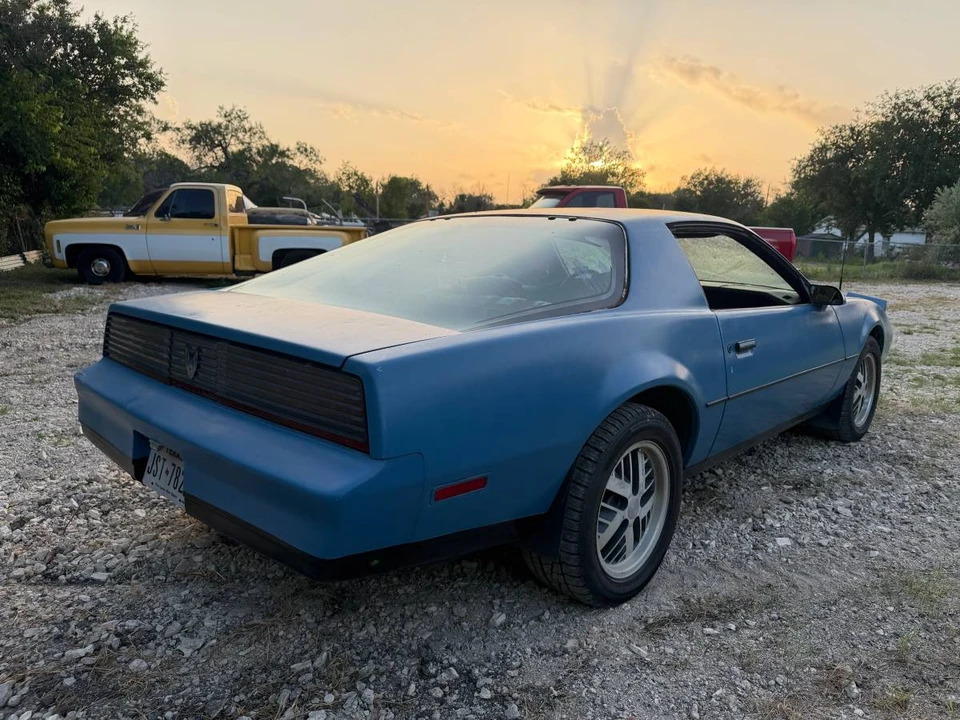 1983 Pontiac Firebird 3rd Gen - Image 5 of 14
