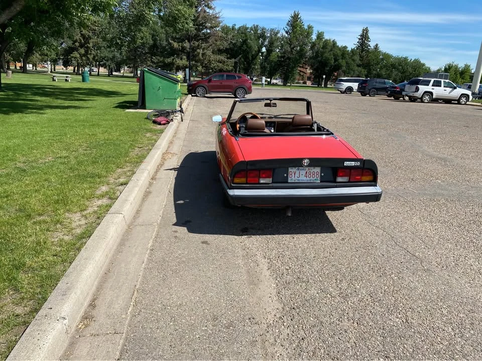1984 Alfa Romeo Series 3 - Image 5 of 8