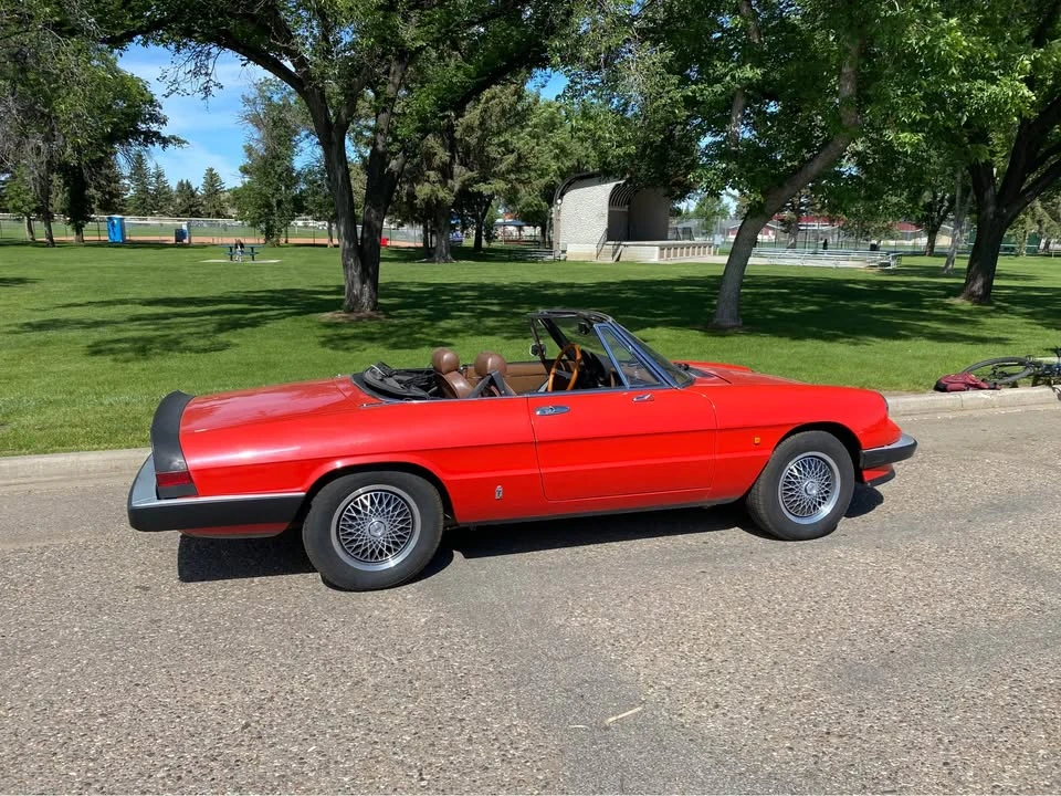 1984 Alfa Romeo Series 3 - Image 6 of 8
