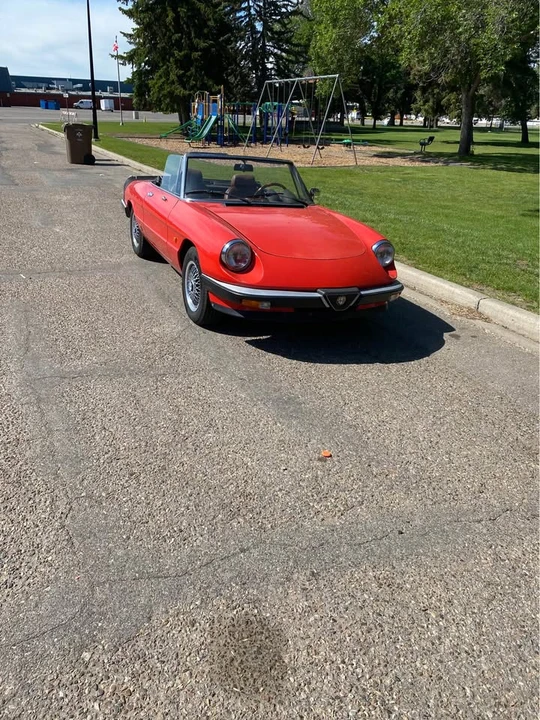 1984 Alfa Romeo Series 3 - Image 8 of 8