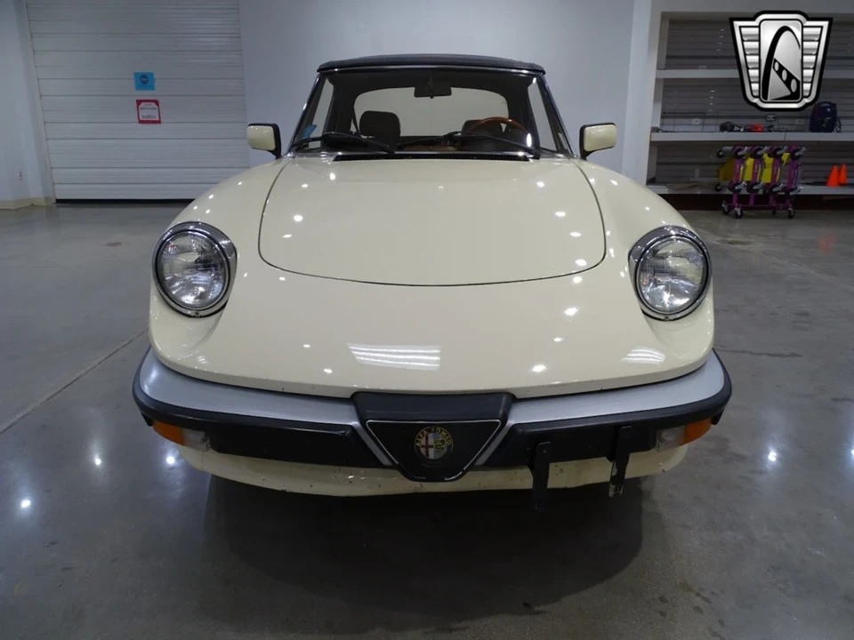 1984 Alfa Romeo Series 3 - Image 11 of 12